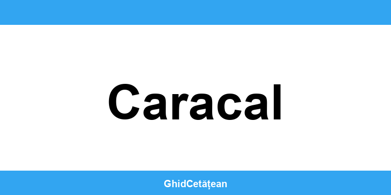 Evidența Populației Caracal (SPCLEP) – programare online