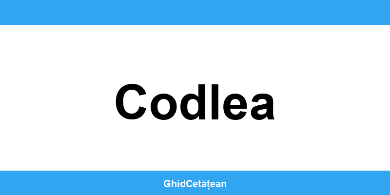 Evidența Populației Codlea (SPCLEP) – programare online
