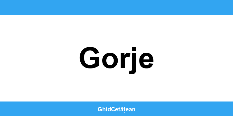 Evidența Populației Gorje (SPCLEP) – programare online