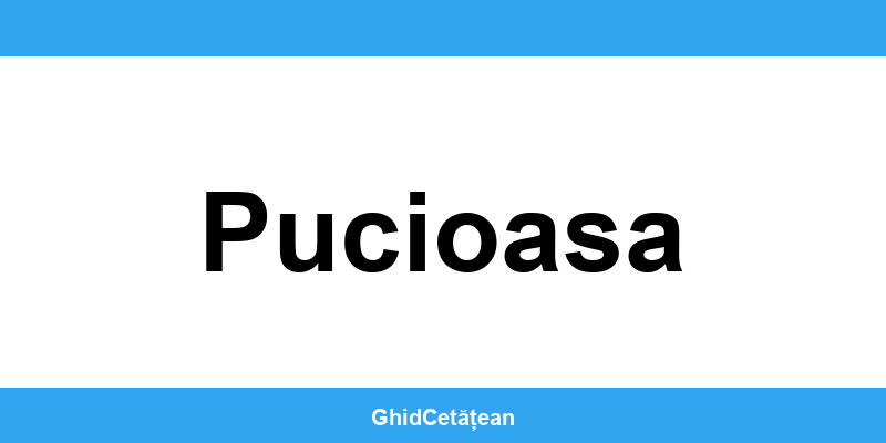 Evidența Populației Pucioasa (SPCLEP) – programare online