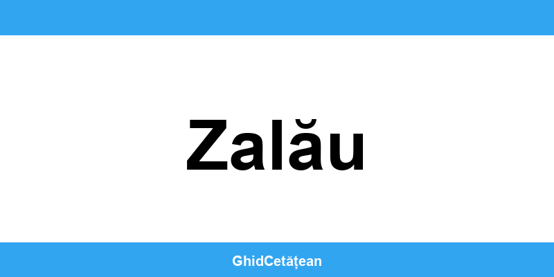 Evidența Populației Zalău (SPCLEP) – programare online